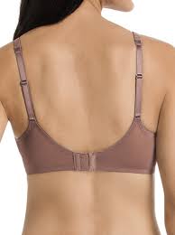 Rosa Faia Fleur 5653-Berry