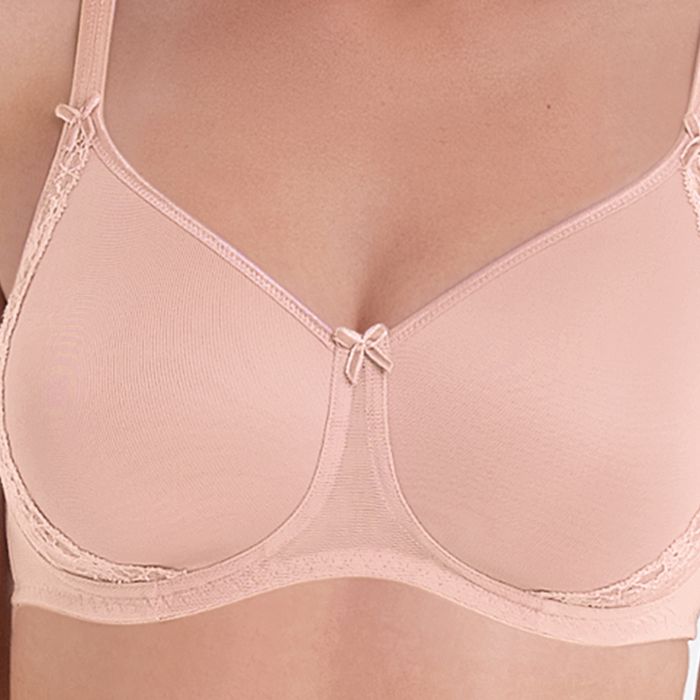 Rosa Faia Lace Rose 5618