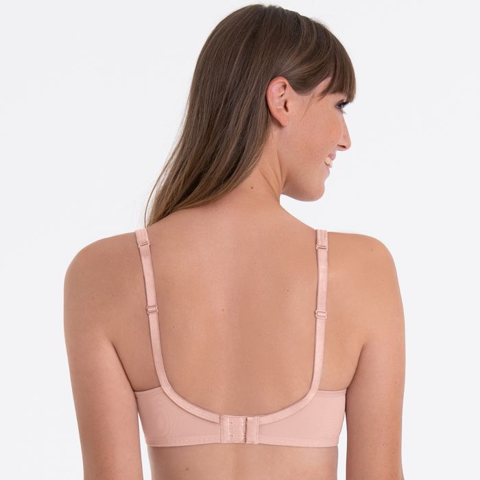 Rosa Faia Lace Rose 5618